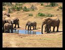 Ado Elephant National Park